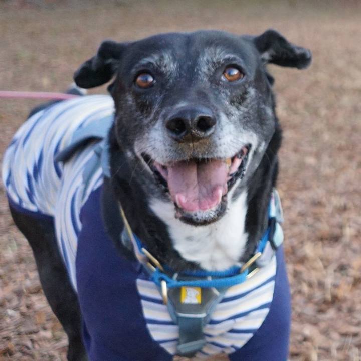 11df2309 b814 4911 ba01 c0273eb88c13 1768870627894