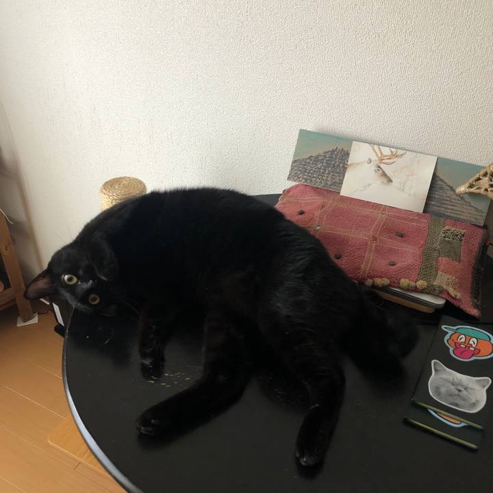 11df28d2 d101 4999 9008 d590070ee8c1 1576971597349