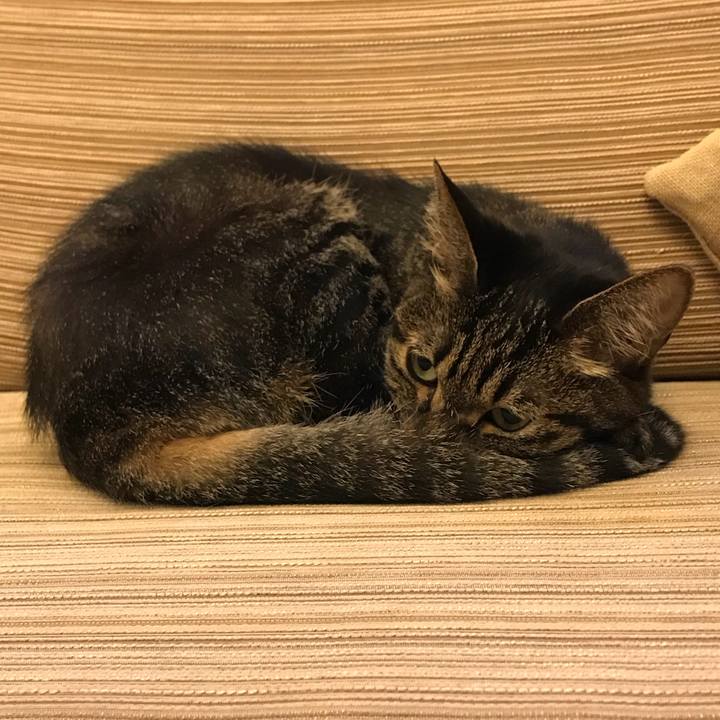 11df5958 25f6 4956 a1e6 0455c8fc45a0 1528969873665