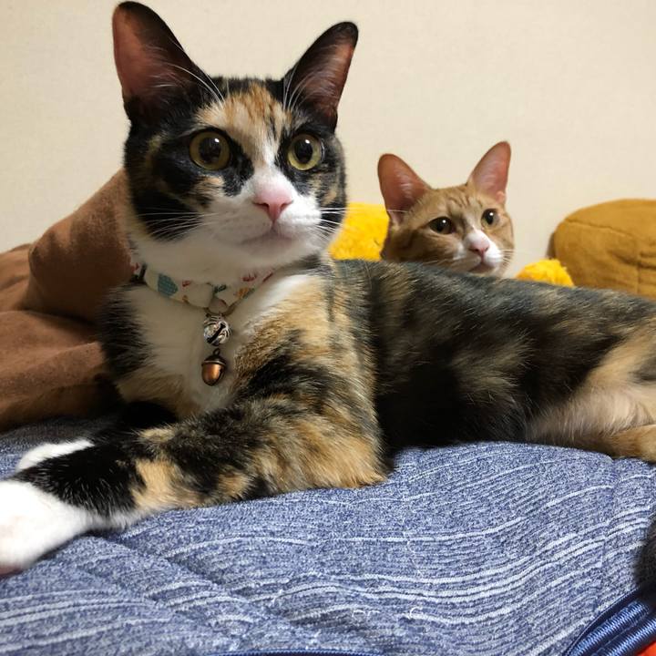 11df6c35 72b4 4435 9b92 a54cf75a2779 1565356573587