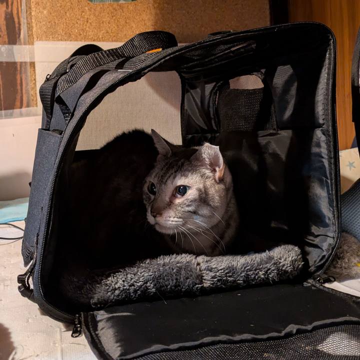 11df6de5 3597 4fad 8445 bc42c2f31191 1764263810944