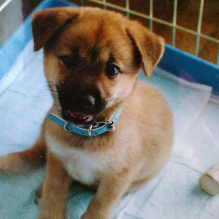 11df8964 c18a 43c5 a39c 33529f505532 1515295863207