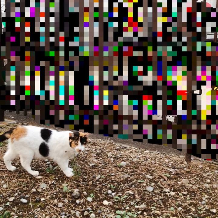 11df8a8b b8fc 430e be6d 54ce86cb493d 1631423724611