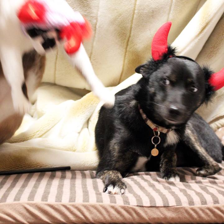 11dfd320 21da 4601 89be 8575825be690 1509536221621