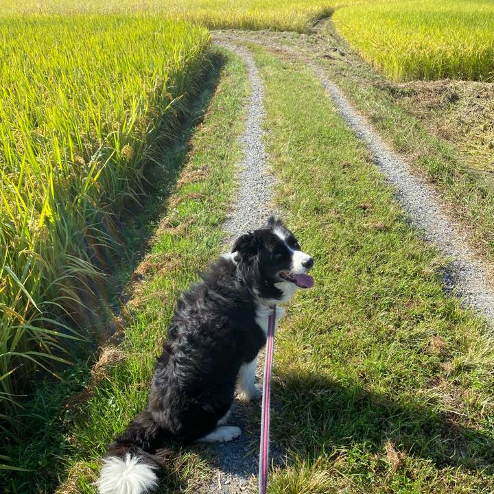 11dffae6 6fa8 48ad 80e5 c5cc05650828 1633222221410