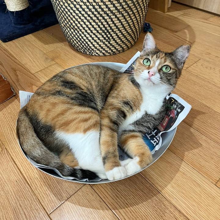 11dfff3c 2327 4de4 acbc b47b33098812 1658747843564