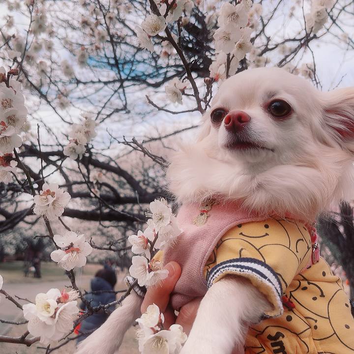 11e00c7a 4323 4388 9183 499d5d839dd7 1708152665744