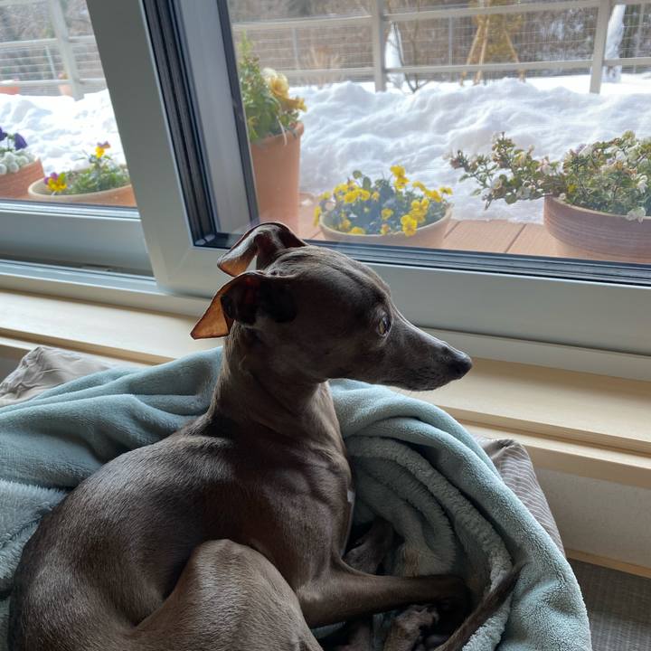 11e04af6 a8e1 463e 8c6b b5e1fd20b36e 1770685695062