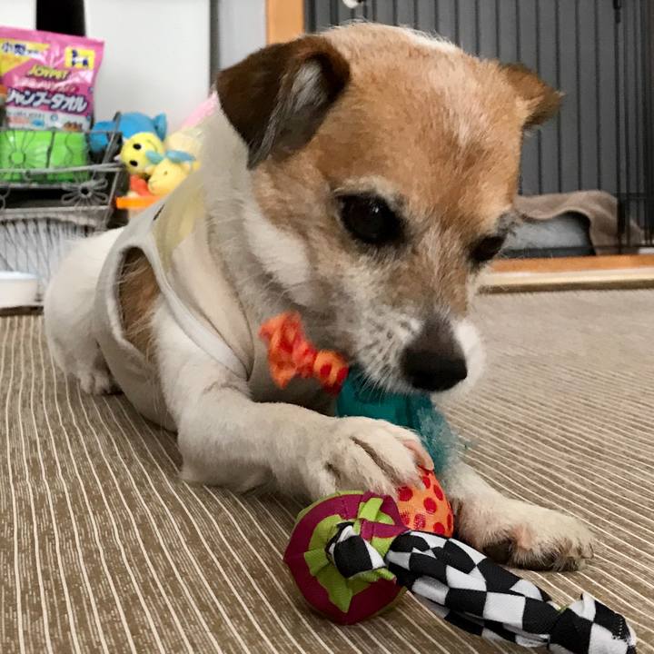 11e052fd 60e9 43b6 9d60 ba852a0f3b04 1595384912125