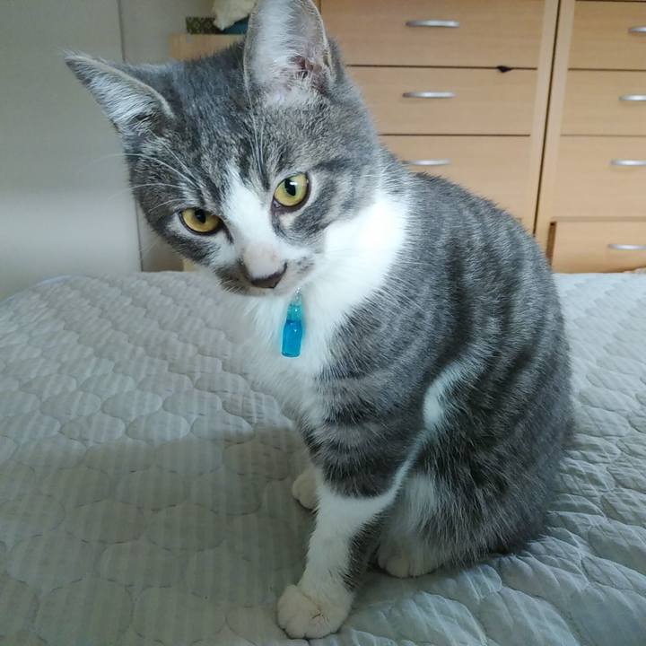 11e08327 bcc8 4852 8c35 9db964290507 1571704210362