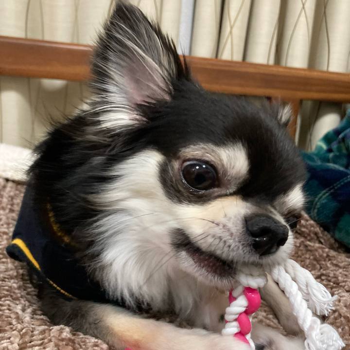 11e0c546 a853 4bdc b6a9 a8057b968190 1648300388608