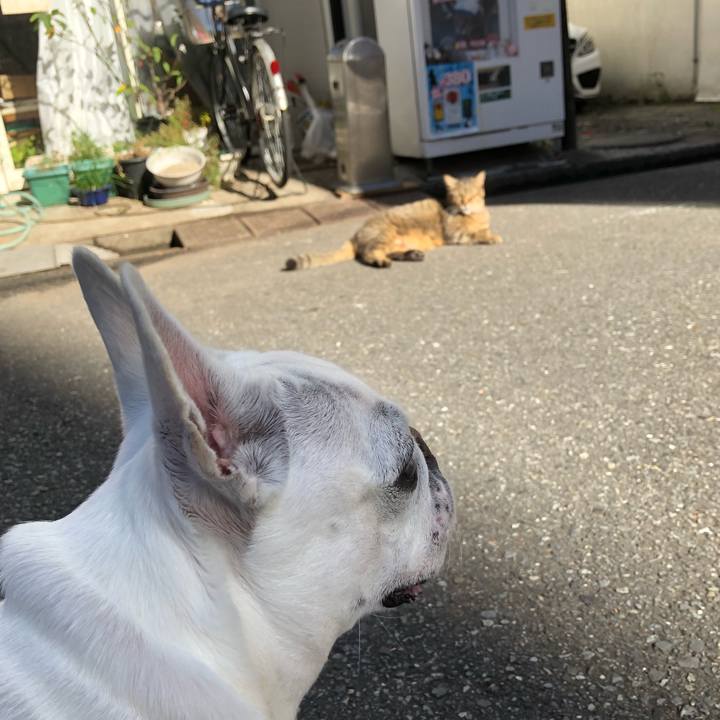 11e0ca87 0f13 42e9 9545 cff1c8d1355e 1606110481235