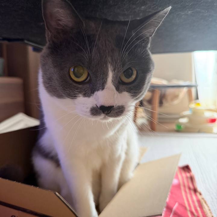 11e0ecec fcdd 4f27 8085 760e8474cd93 1759628288758