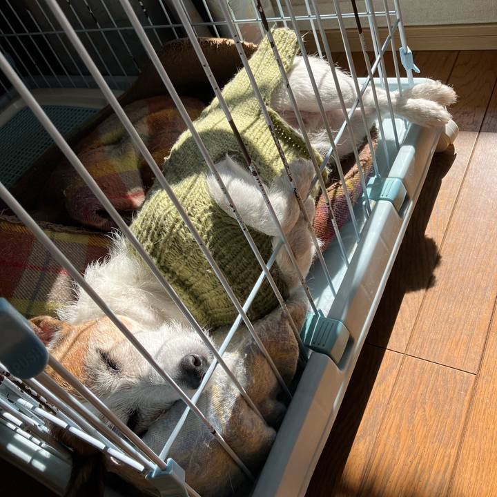 11e117e4 5f2b 4511 b1e1 8d33882c0bee 1674775087187