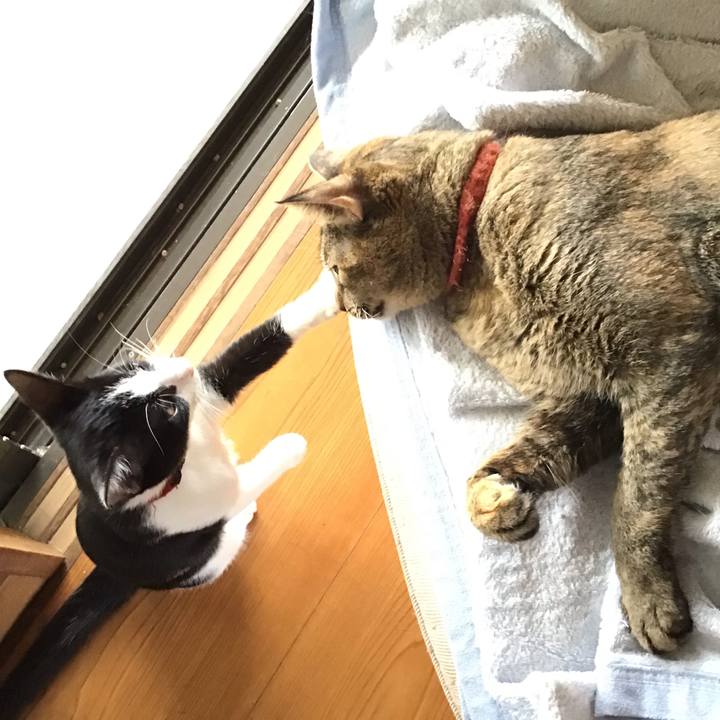 11e123ce 4093 4f7c ac51 456addb44c40 1629881548964