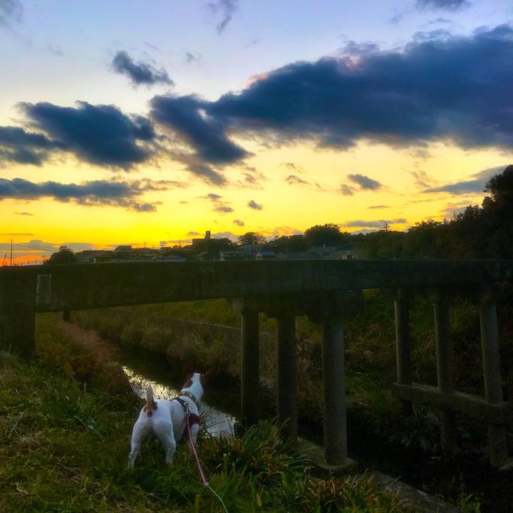 11e1547b 3b0e 47b6 a9de 0cafb2f6e666 1512589759329