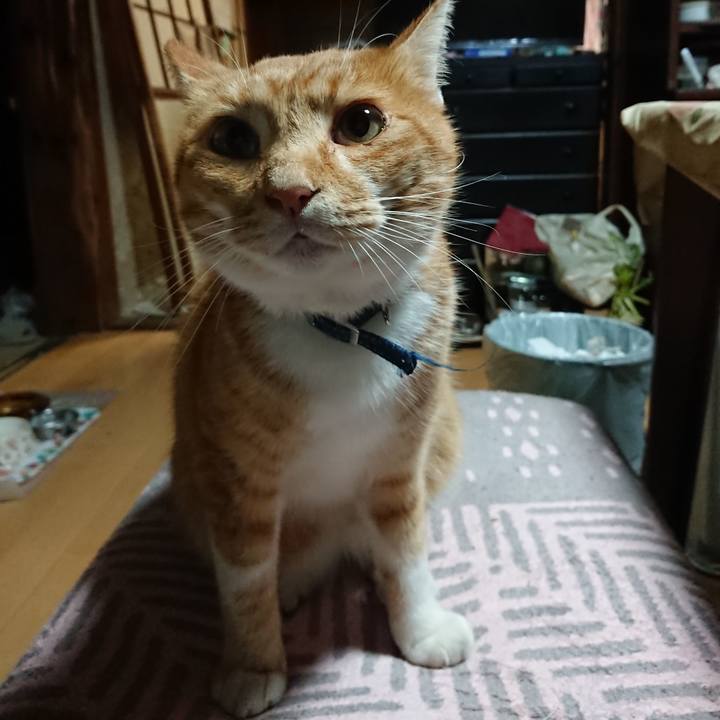 11e16c70 0092 4328 a8f8 07951ff58cc5 1602705507468