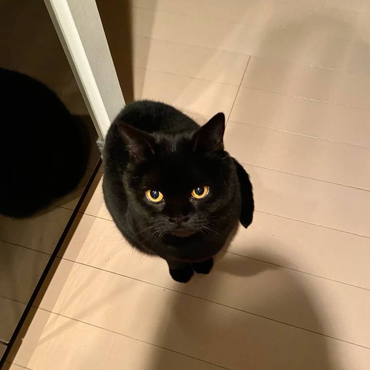 11e1cbfb 0c03 43ac a3f3 c7e0457b83ab 1736856357801