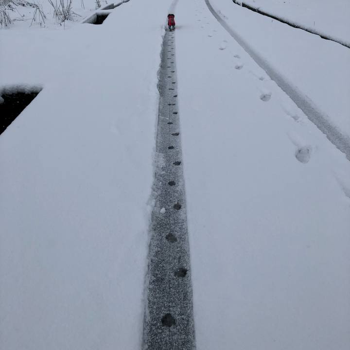 11e1eb58 e411 4e77 b736 719a1341e386 1549762737300