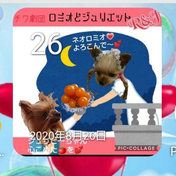 11e1ed28 7ff1 4a62 9794 eb6ea24a4915 1661476740239