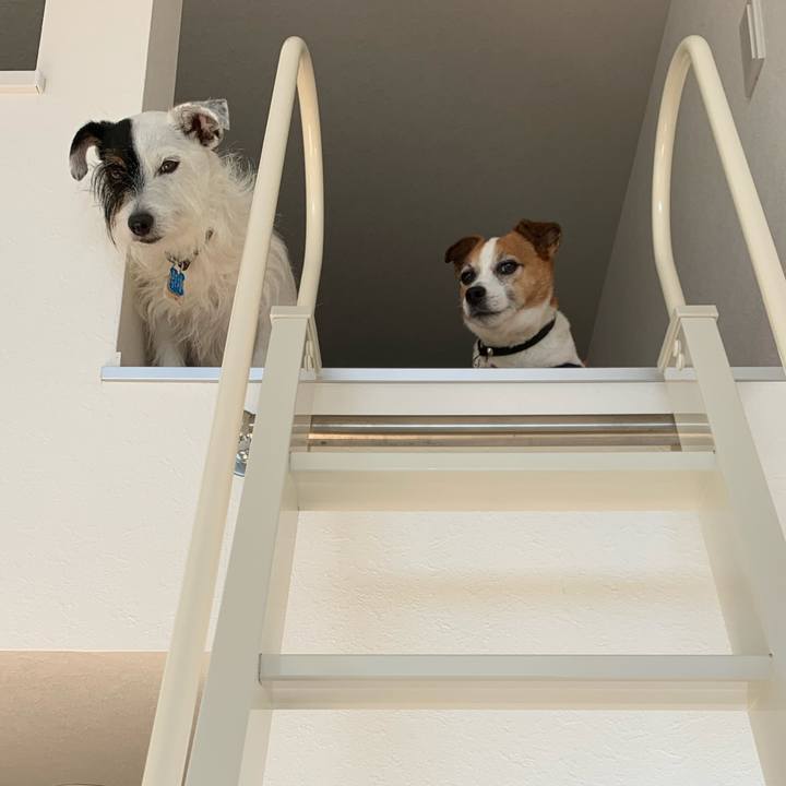 11e1f085 671a 47db 86e0 a148d0225d9e 1628574434803