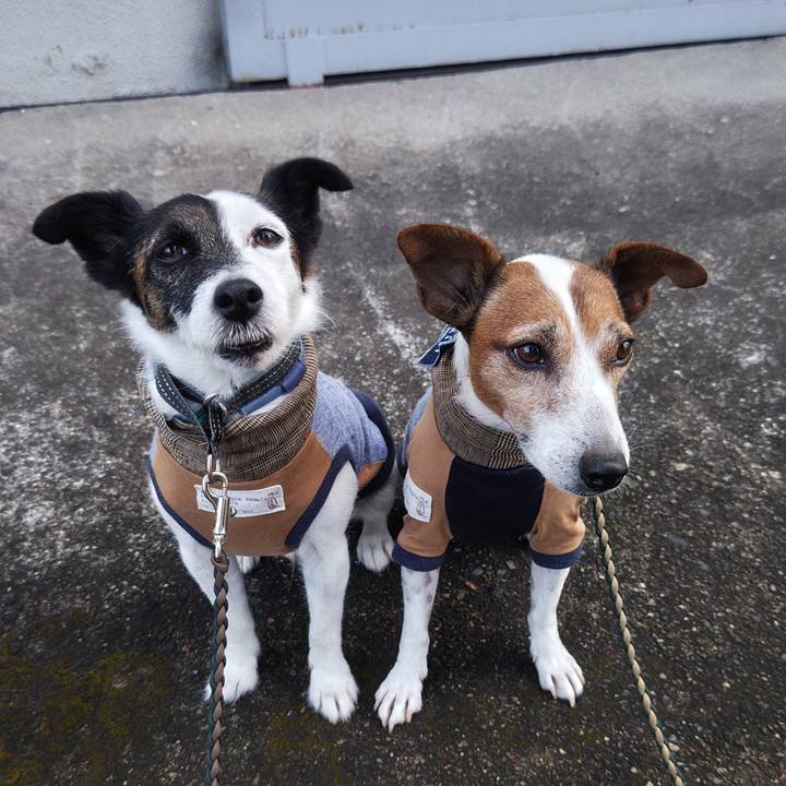 11e1fce6 b1ce 40d6 aedc 97e69be02655 1758404990129