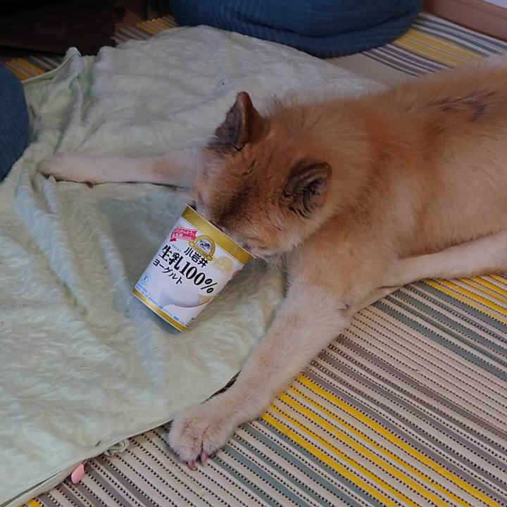 11e20a93 4d56 4129 925f 2c560d432286 1652312636076