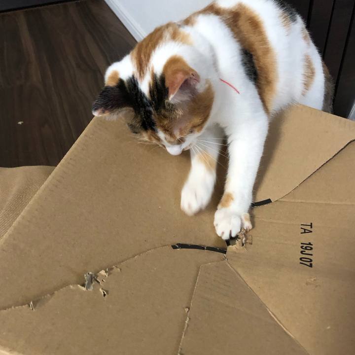 11e2221f 3a36 4d94 9821 1d567a7c2e9b 1571182358352