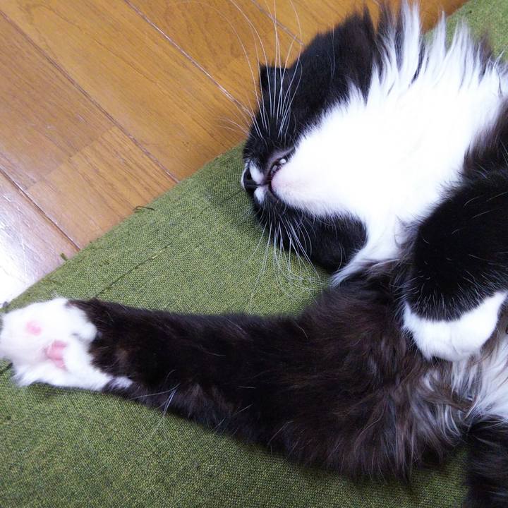 11e2286c 1407 4fa4 a5e6 b6929ff75001 1650813018839