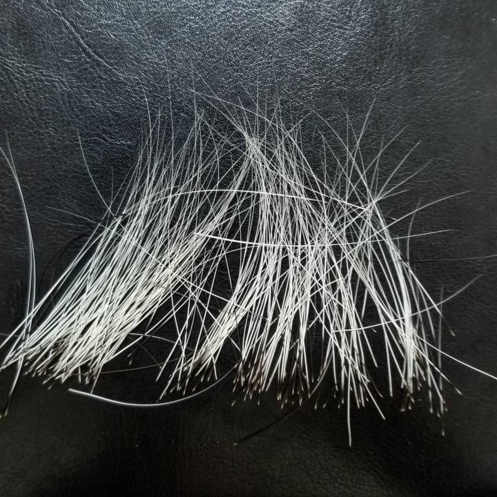 11e23fbb f6bd 47e1 89c8 267f106e9d64 1576619259228