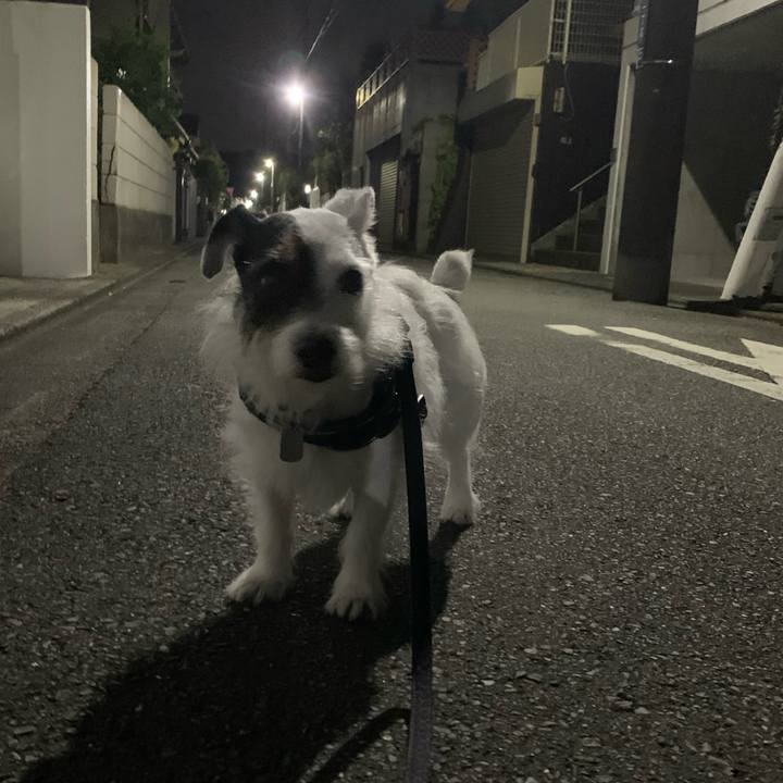 11e247d5 393a 4687 a010 62ea07ba6684 1723209428990