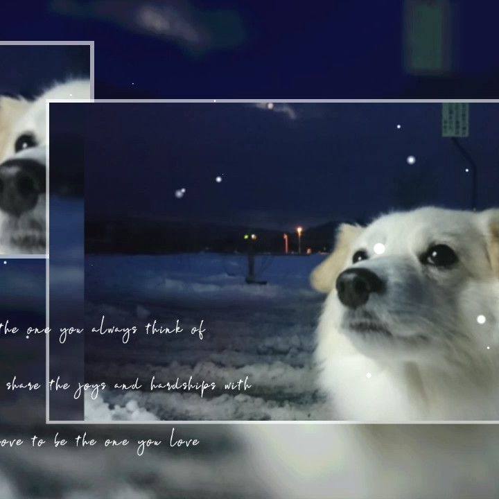 11e2489f f2dd 46c1 ab8a 769f3949f09a 1647813130966