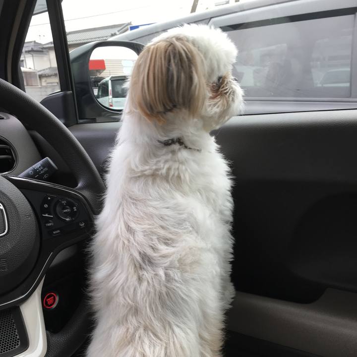 11e24b1b dd4e 40a9 a82a a8e2565e8ccd 1595131043095