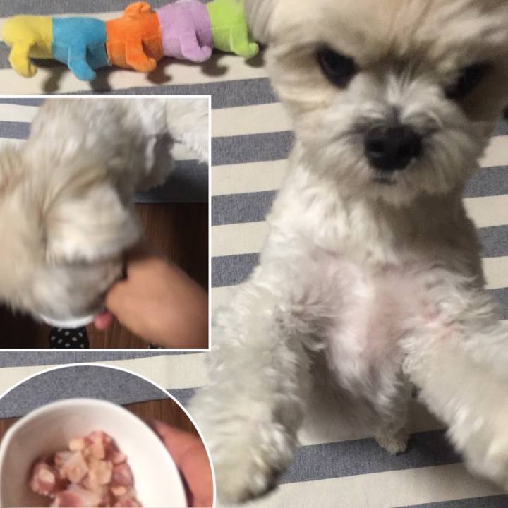 11e2bcbe 8c29 4625 b4ce a1dc70c89d37 1512829061713