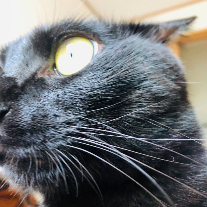 11e2d0b4 7169 4b09 836f efec1fb999eb 1562978406341