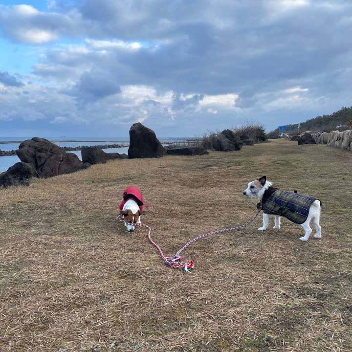 11e2ed19 a766 4eb6 b0e2 d332b776ff56 1773271012587