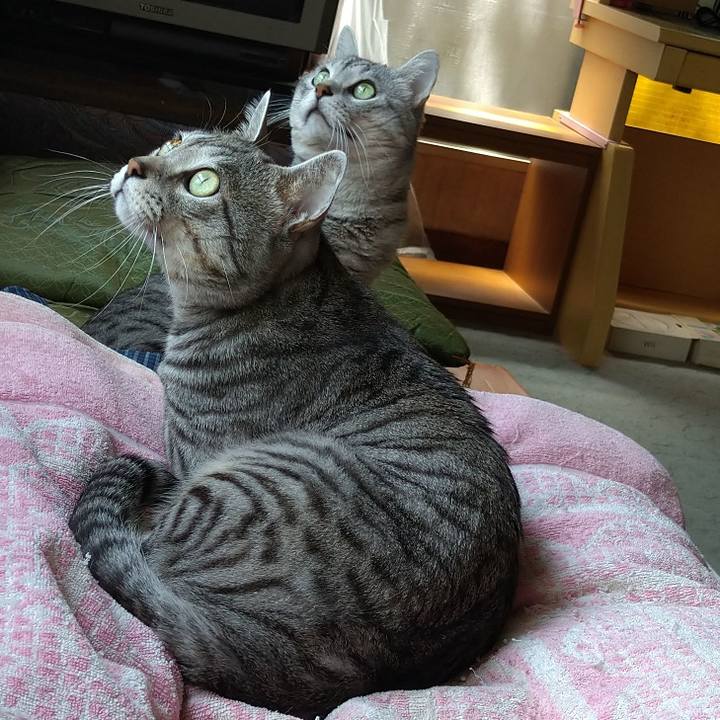 11e30827 5c3b 4403 93ff a433d4af5d1a 1653101695823