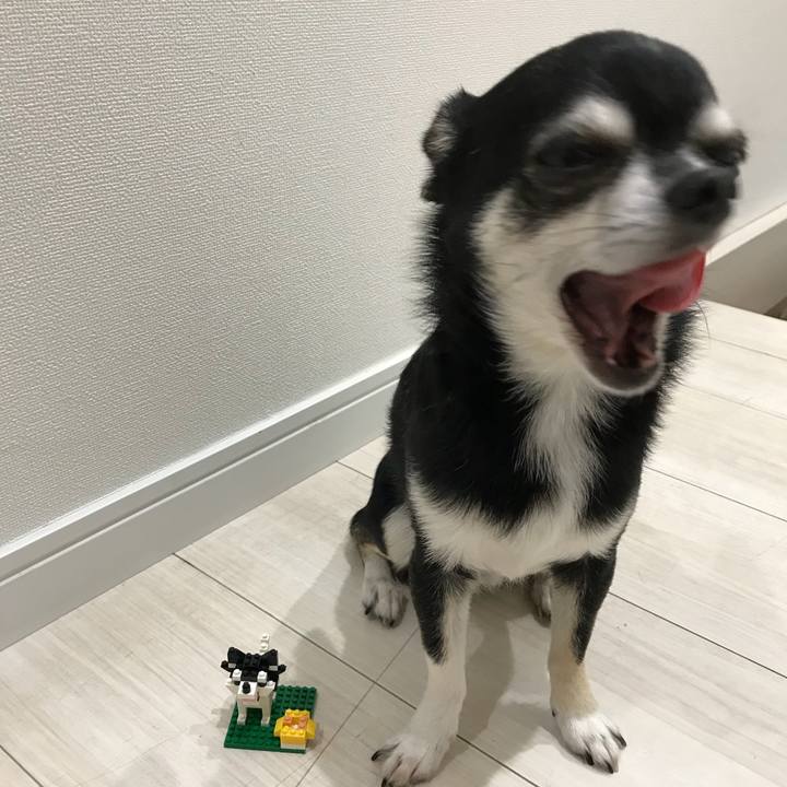 11e3116e b1fc 4002 89ff 81db4ccd18ca 1528717276314