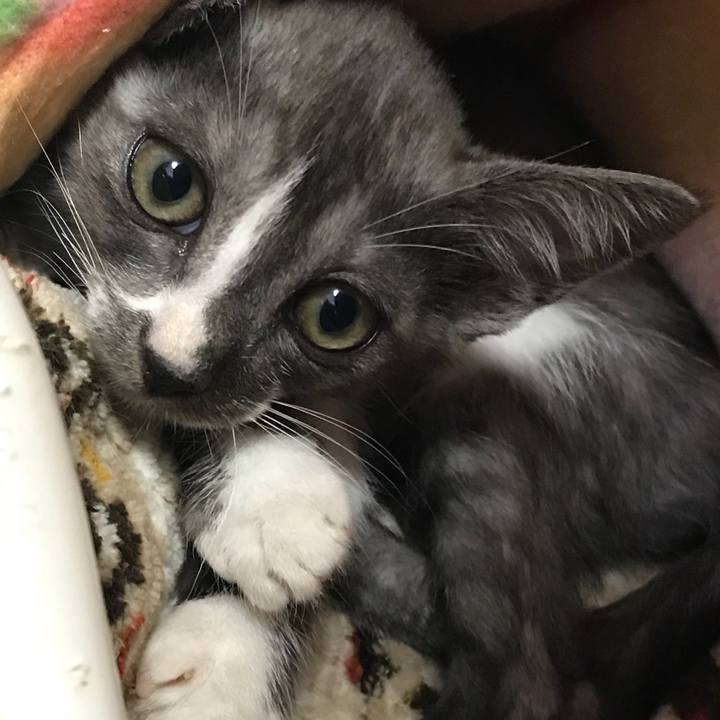 11e374d5 3b78 4f61 a5b5 9b2740acbb55 1529199300177