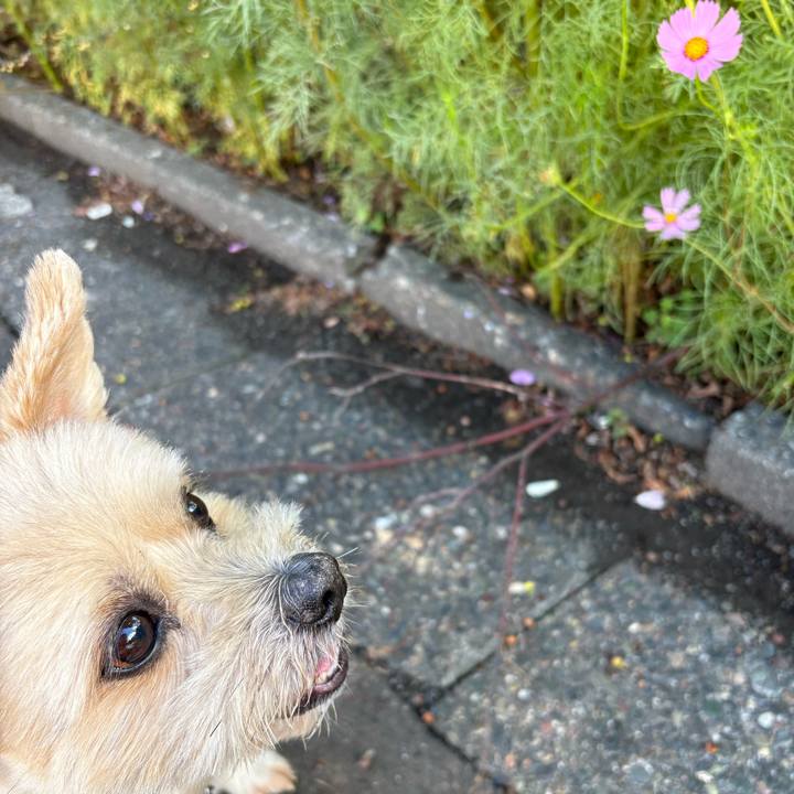 11e38d13 8ae6 4023 9aac 9b4561ae5933 1756897549572