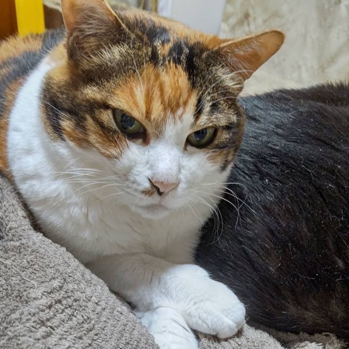 11e3a729 e5a6 4cae a8a8 c580ac7b688b 1628301882962