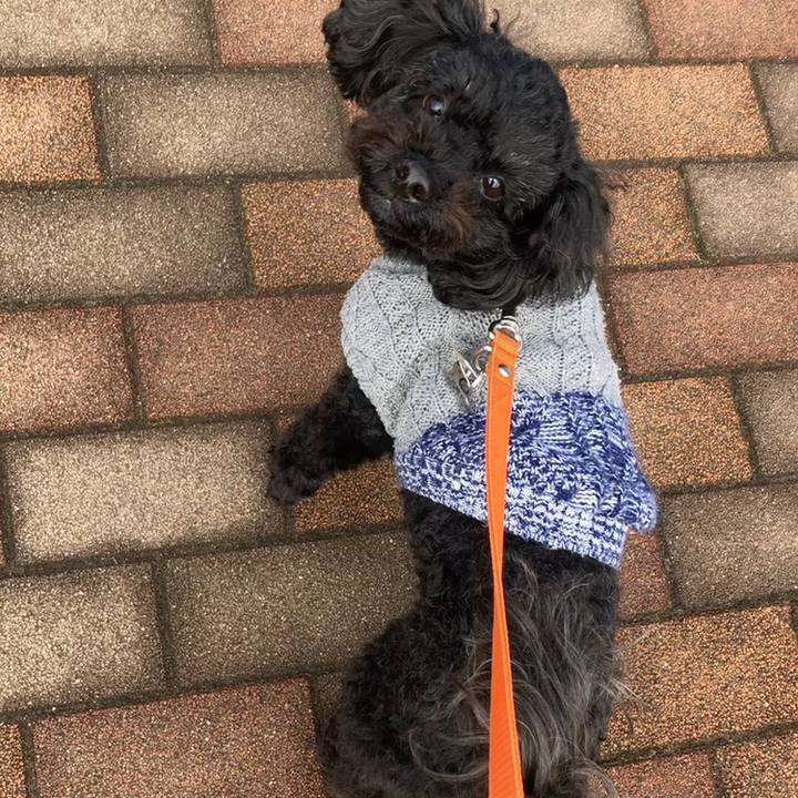 11e3ad20 ecbd 4fa8 804f 257336ffcbce 1583723638891