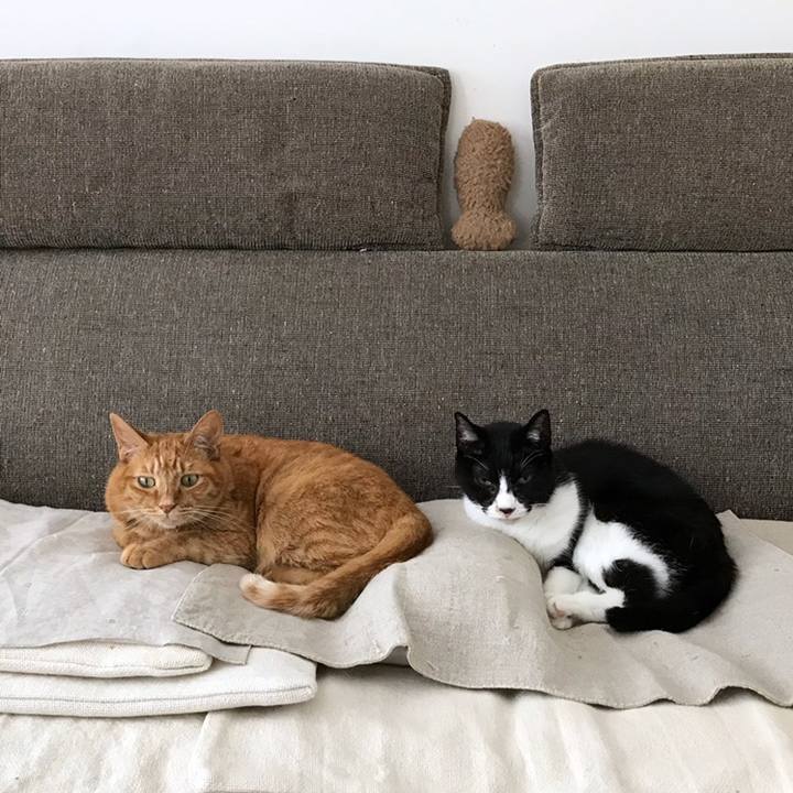 11e4438d caeb 462d 8f7f 0b1aba061bd7 1559525908634