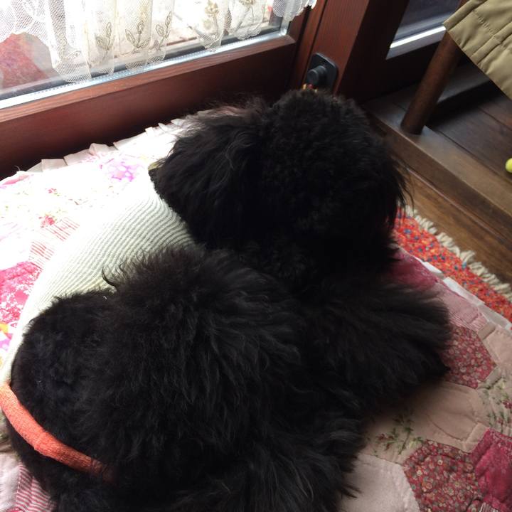 11e44f58 3d0d 4ce0 9872 bb604a80b3cc 1520402805993