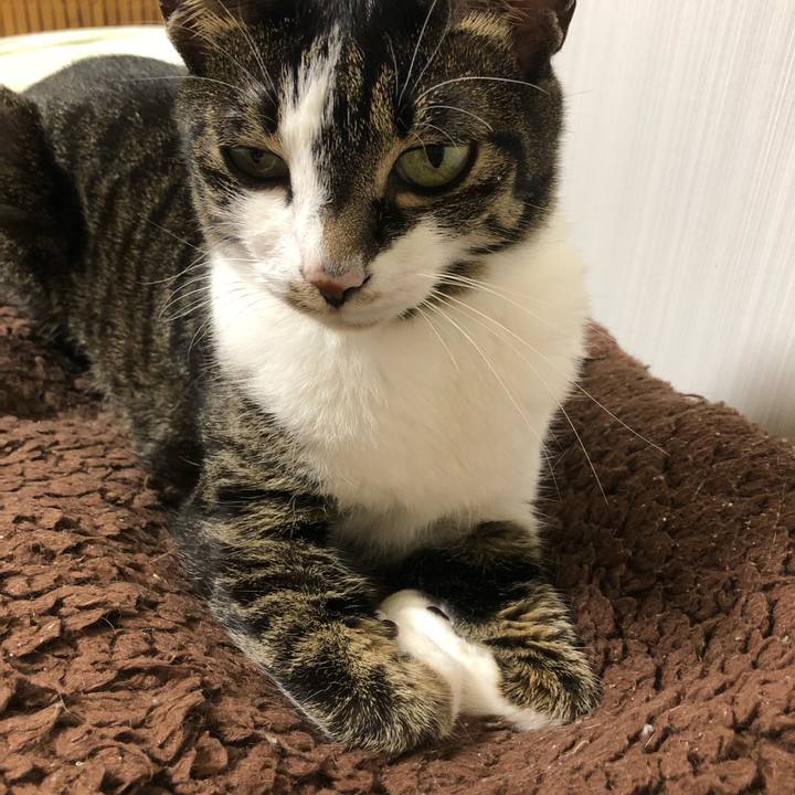 11e4555f fe7b 47d7 abb2 ba0effd1f1a7 1654892664524