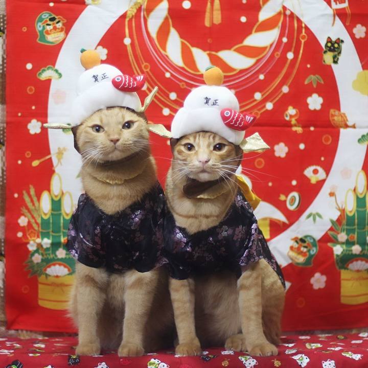 11e4583e 7dd1 4645 8f9c b3ad1c5b0f04 1704045527230