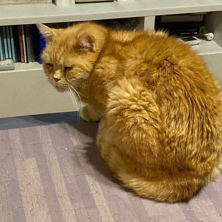 11e45975 b4f0 4e8b 8af0 b8647799db2c 1674747686909