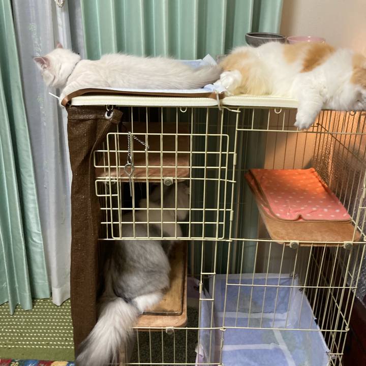 11e4695a 6da0 457e 8f30 44a1689e4e2c 1668948355633