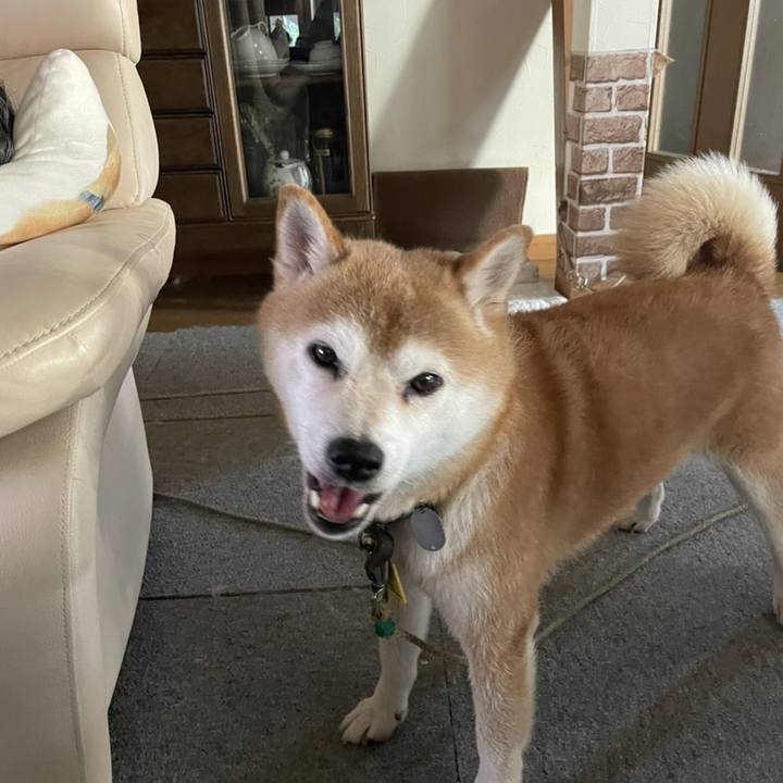 11e4bbcf b4f1 45d1 9fbd 2a31d1568308 1628063473931