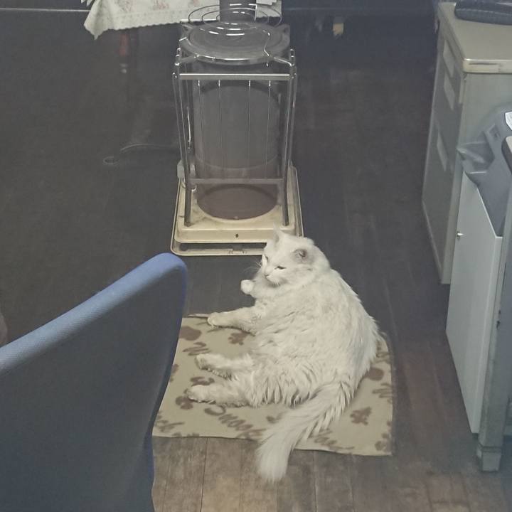 11e4fa93 9434 4a97 b3bb 9cb9632caa2e 1554935058000